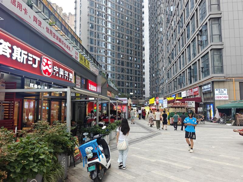 成华奥园广场地铁85米‼️ ㊙️6个商圈‼️6083户‼️